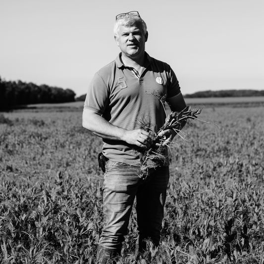 Laurent Haye, agriculteur-producteur de pois cassés à Tilleul-Dame-Agnès en Normandie, Eure