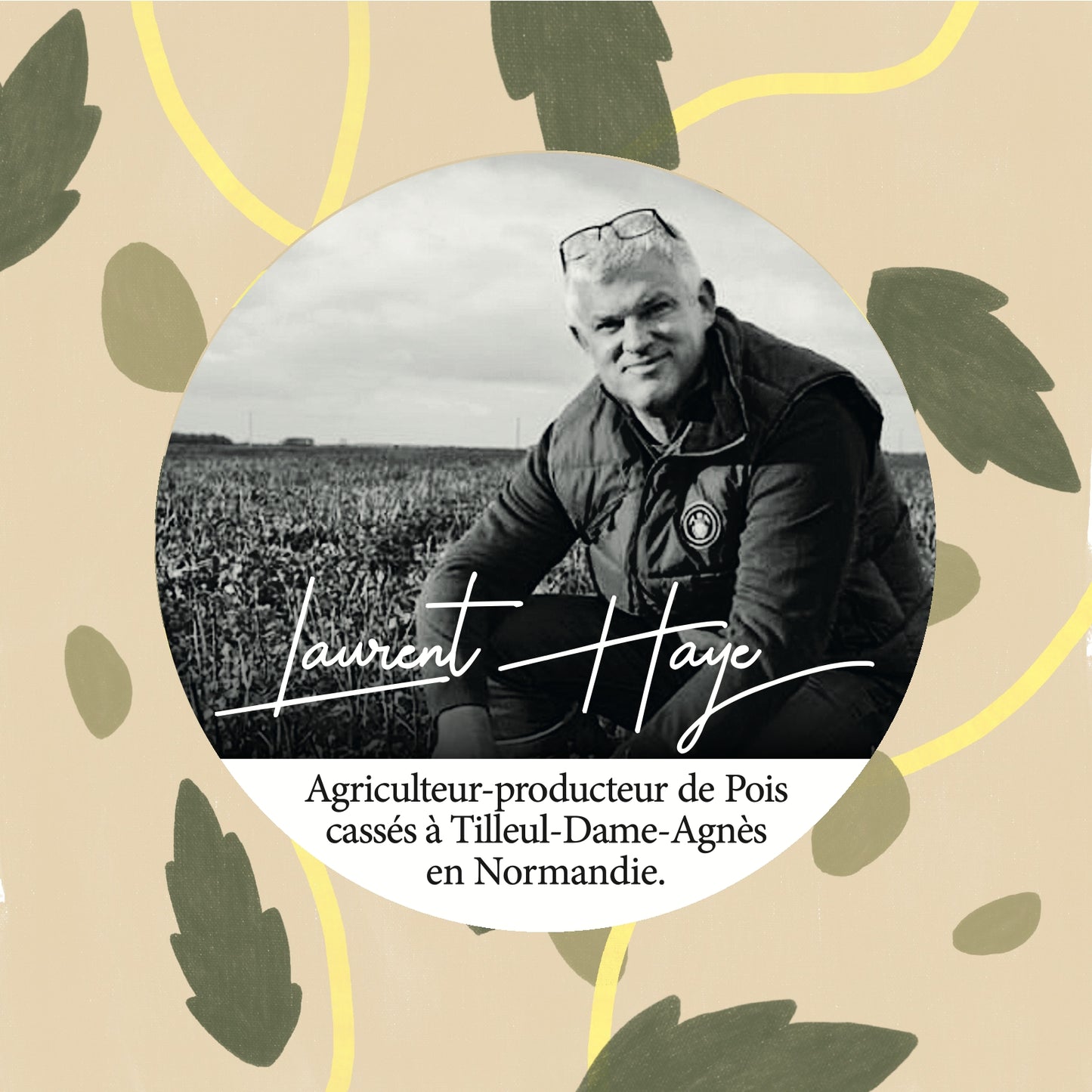 Producteur français pois cassés